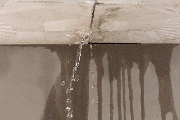 Professional Water Damage Inspection technician working in Roxbury Crossing, MA